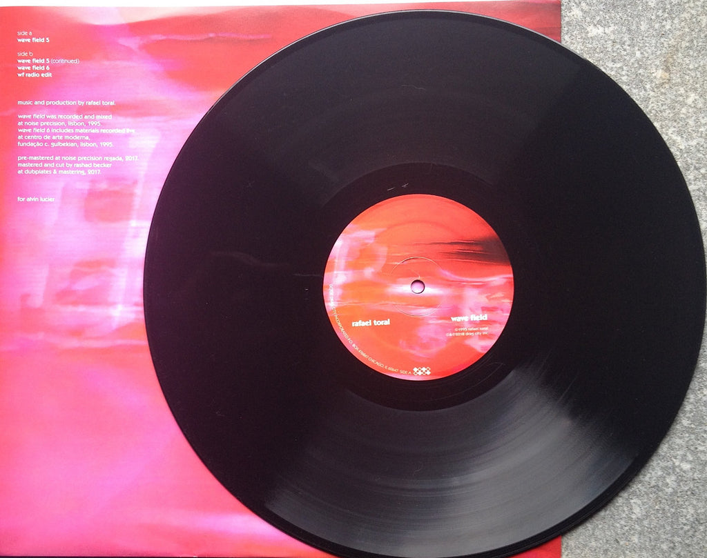 Rafael Toral - Wave Field (LP) – Meditations