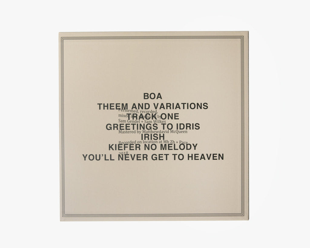 Sam Gendel & Sam Wilkes レコード 2枚セット 新品 Amazon | THE DOOBER | Sam Gendel & Sam Wilkes | ジャズ