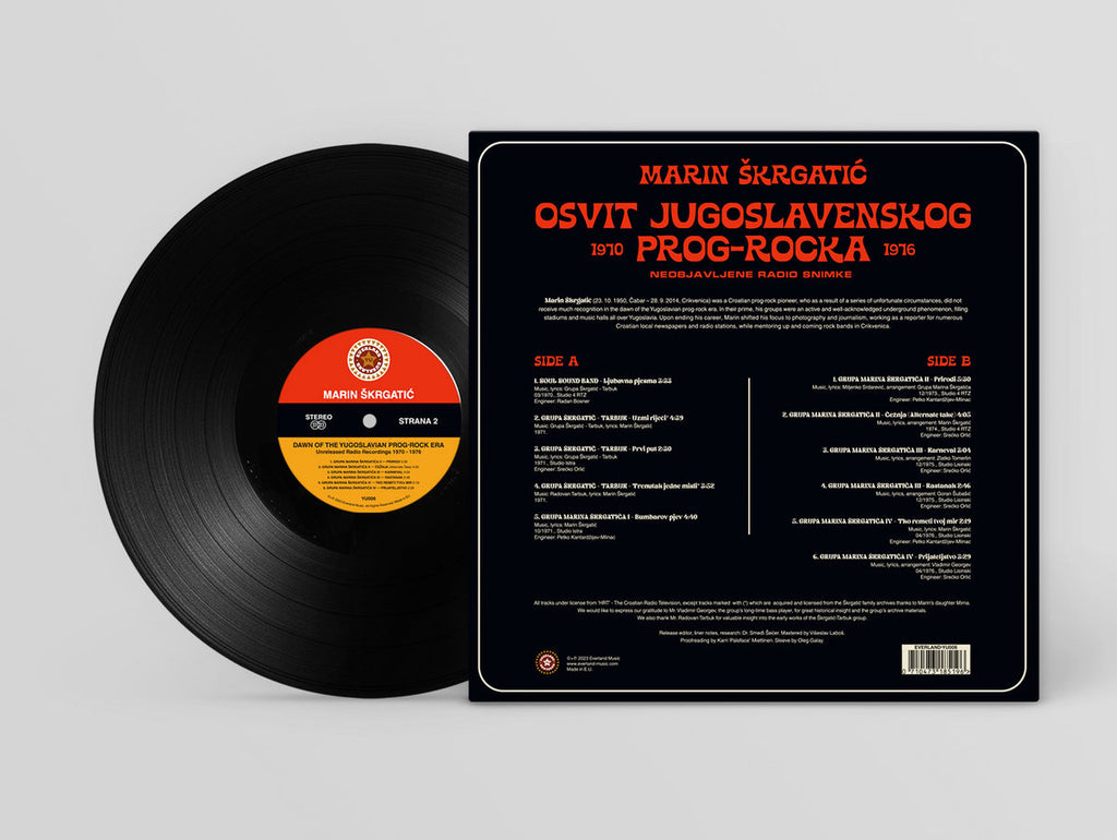 Music Inc. ミュージック インク アナログ LP Unknown Artist - Missing Pink (P!NK - Don't Let Me Get Me