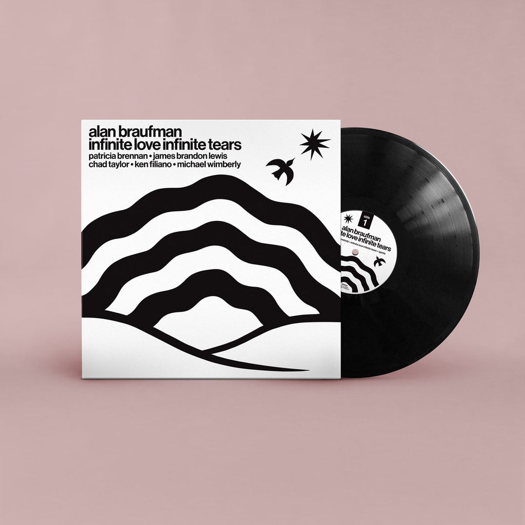 【LP】グラインドサアフ Tears 1000枚限定 レコード Alan Braufman - Infinite Love Infinite Tears (LP) – Meditations