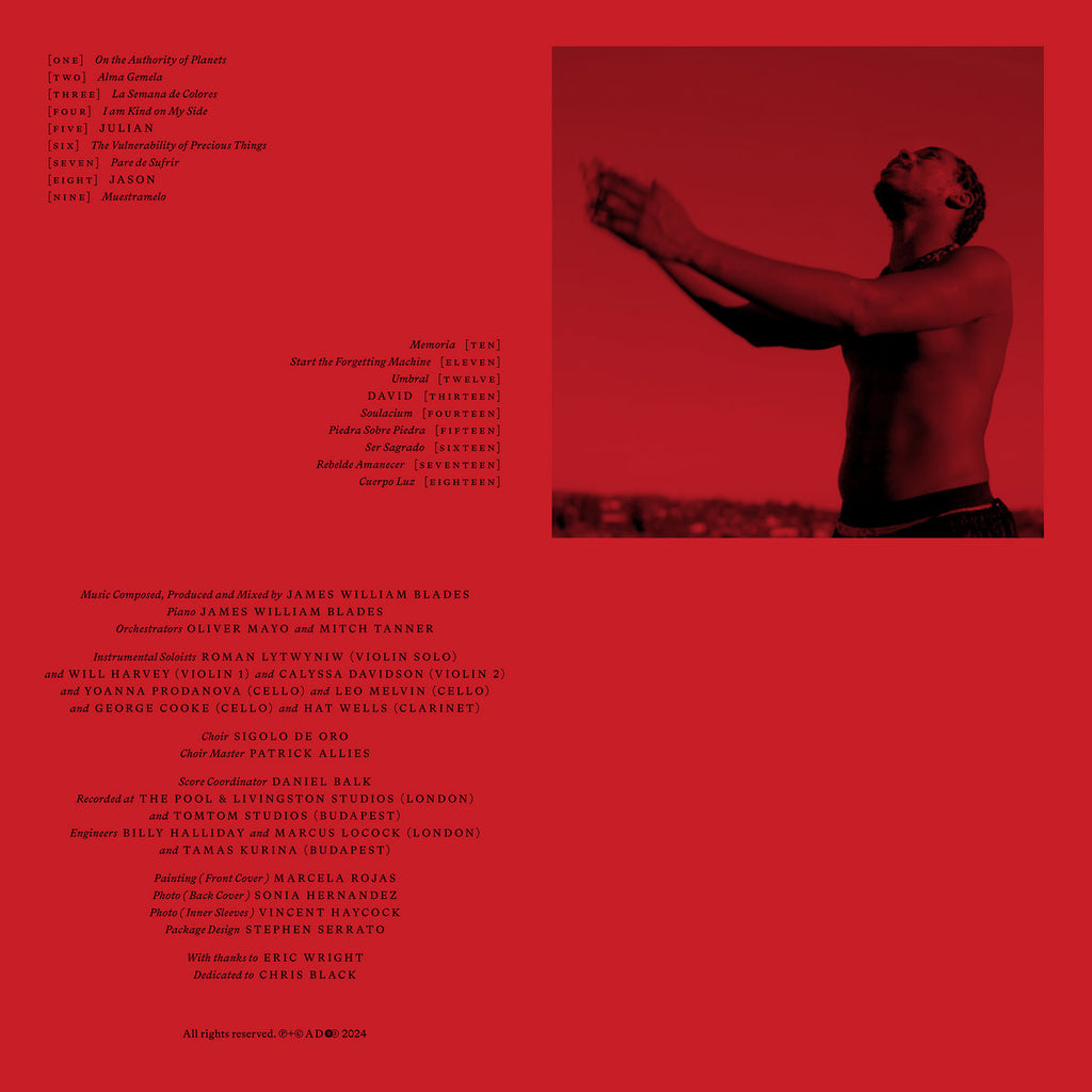 James William Blades - Pare de Sufrir (LP) – Meditations