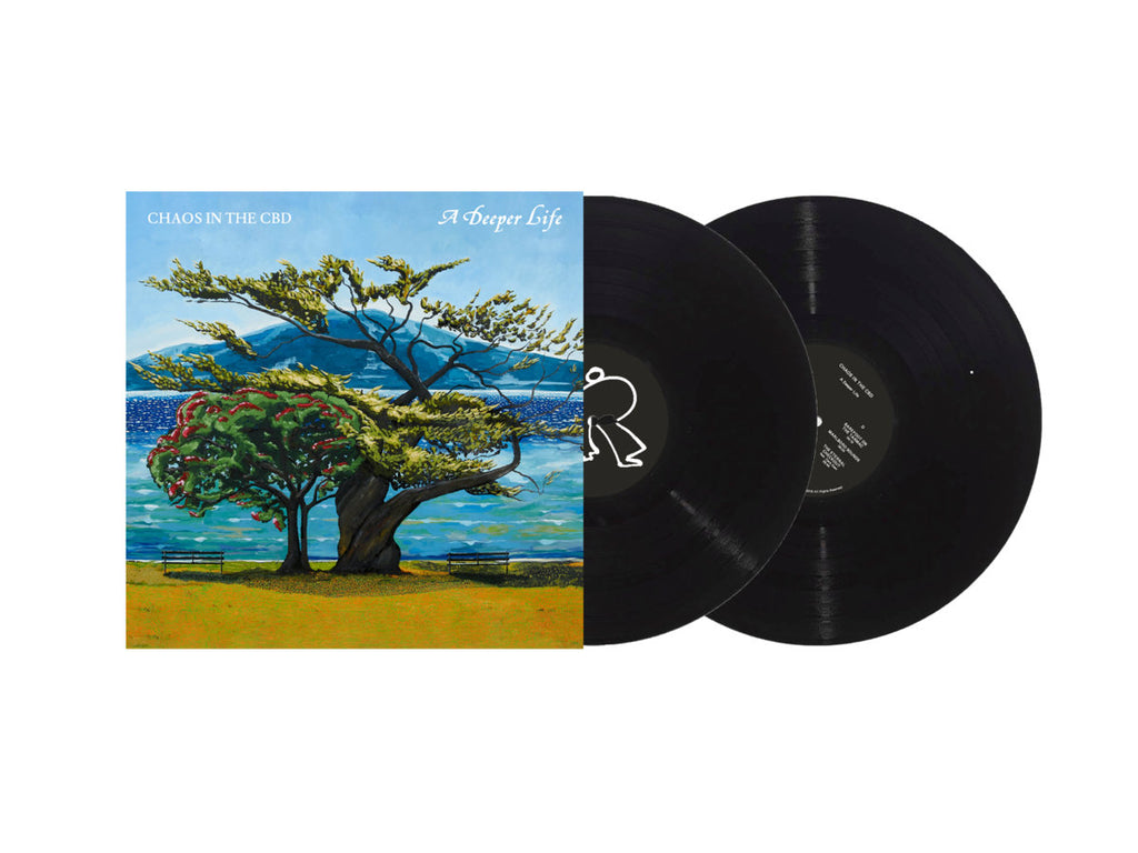 Chaos In The CBD - A Deeper Life (2LP) – Meditations