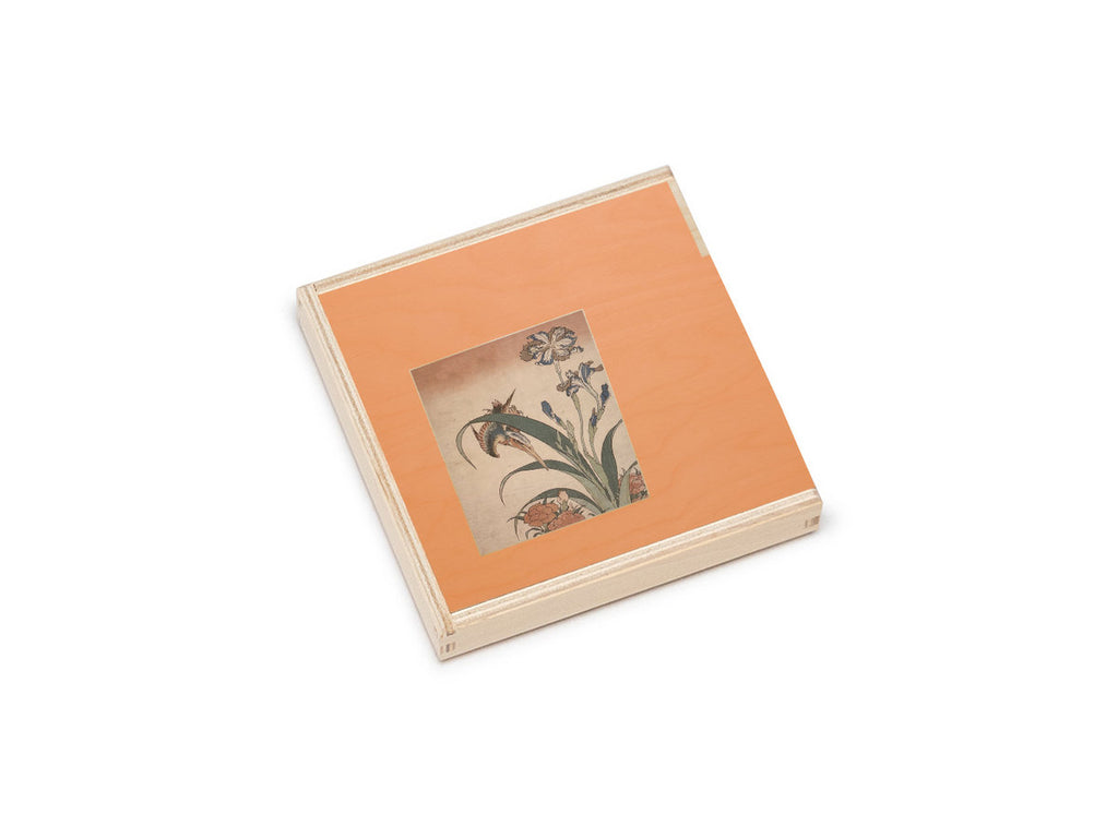 Merzbow - Nine Studies of Ephemeral Resonance Volume 6 (Wooden Box