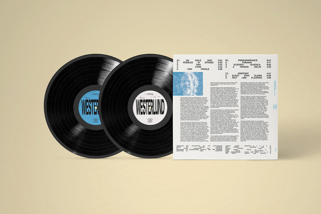 Joe Westerlund - Curiosities from the Shift (2LP) – Meditations