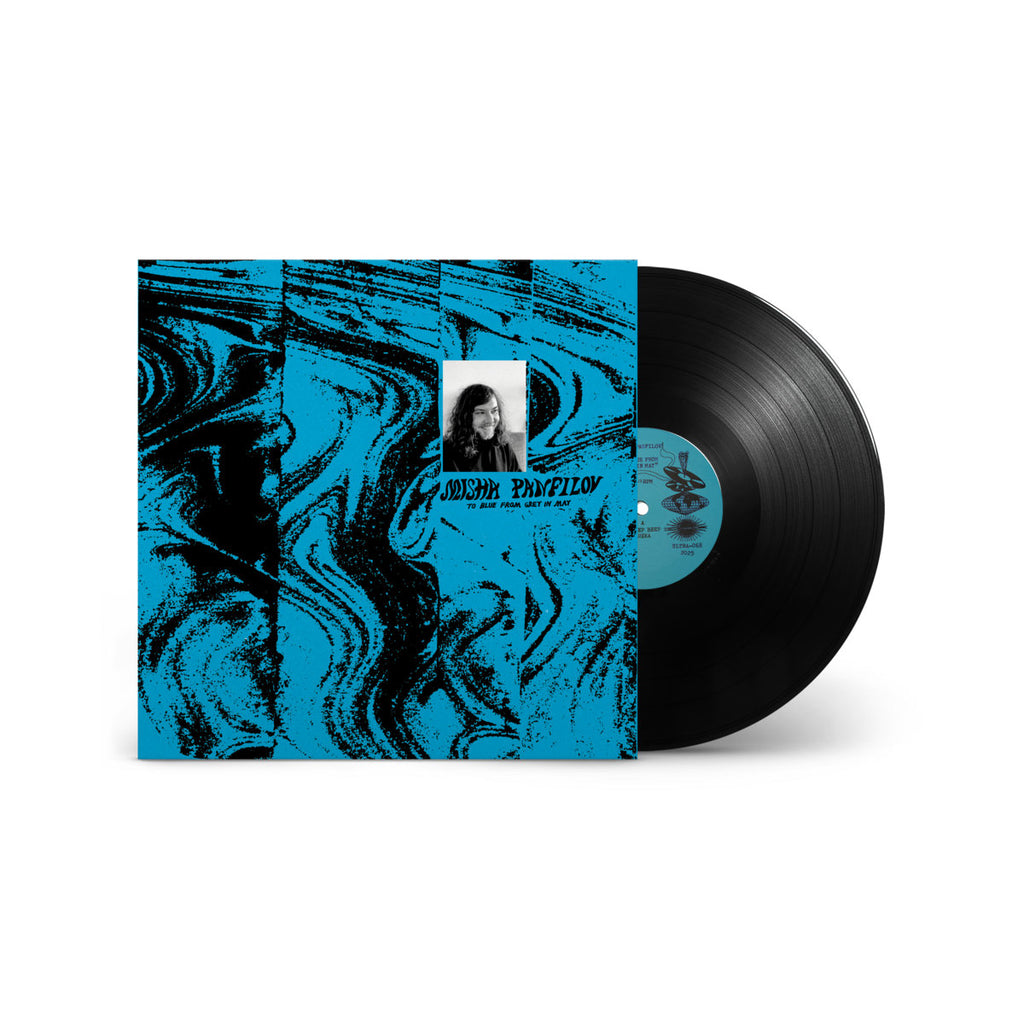 Misha Panfilov - To Blue From Grey in May (LP) – Meditations