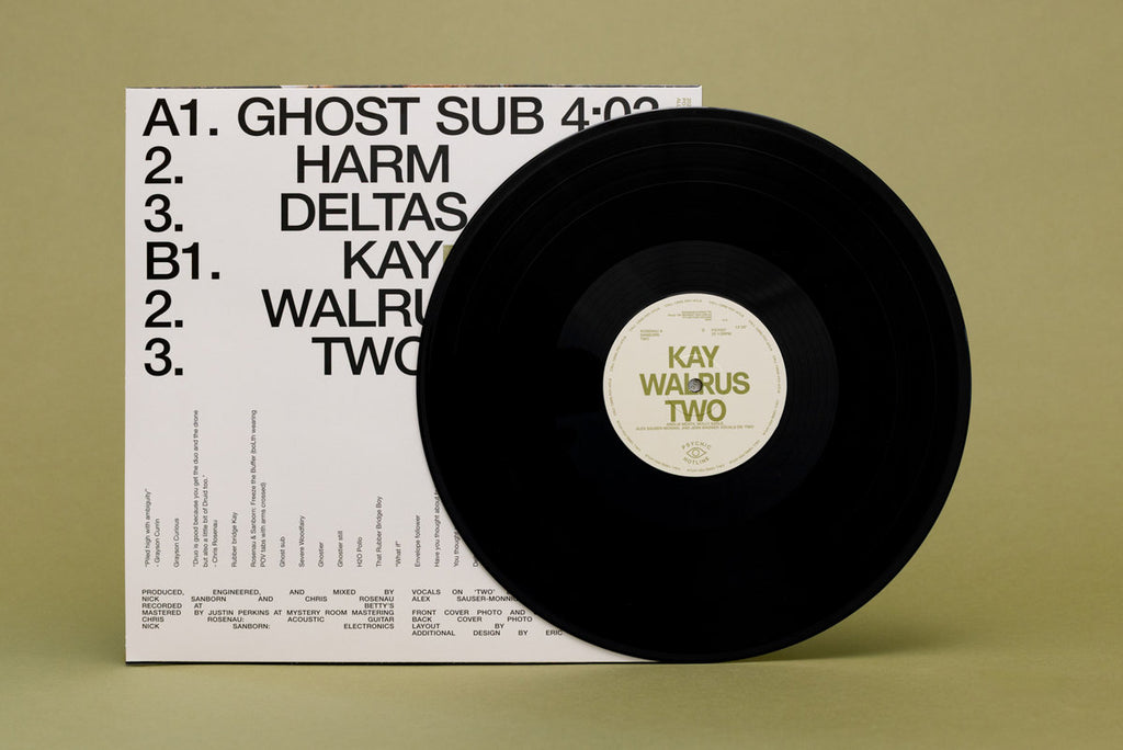 Rosenau & Sanborn - Two (LP) – Meditations