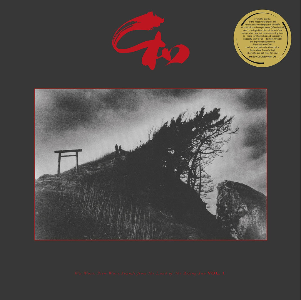V.A. - Wa Wave: New Wave Sounds from the Land of the Rising Sun