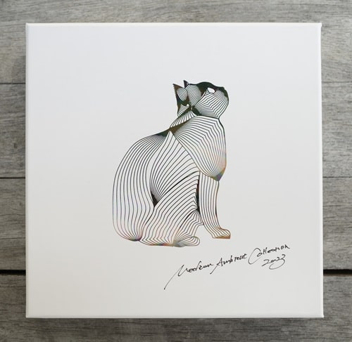 邦楽 MEDIUM AMBIENT COLLECTION 2022 2CD V.A. (MEDIUM) – MEDIUM AMBIENT COLLECTION 2022 BLACK [2LP