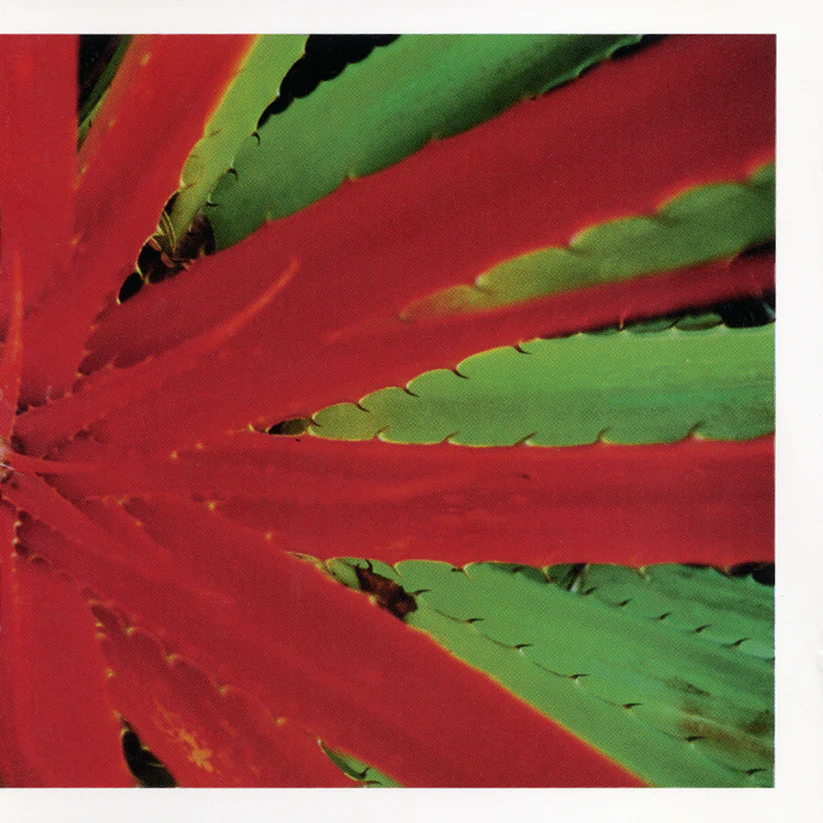 1009143699_1024x.webp?v=1763970383