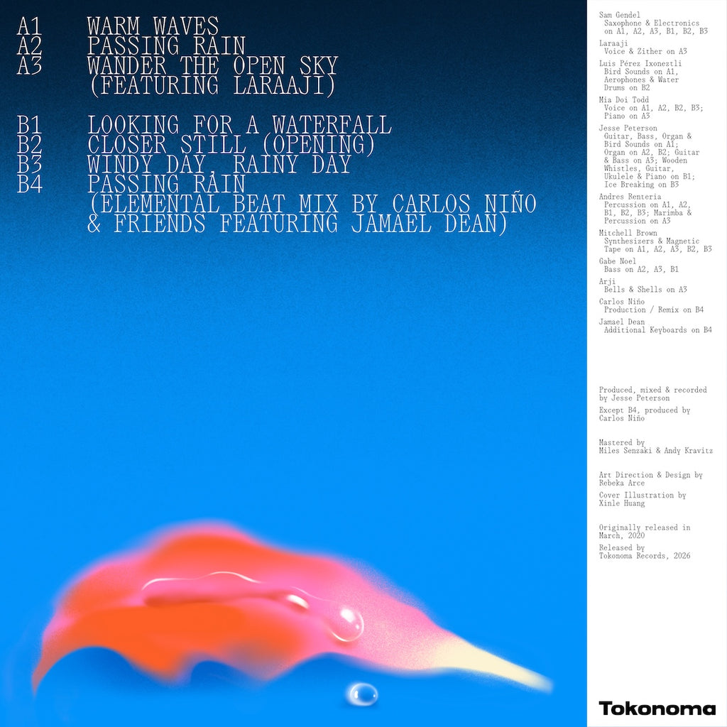 Turn On The Sunlight Feat. Sam Gendel - Warm Waves (LP) – Meditations