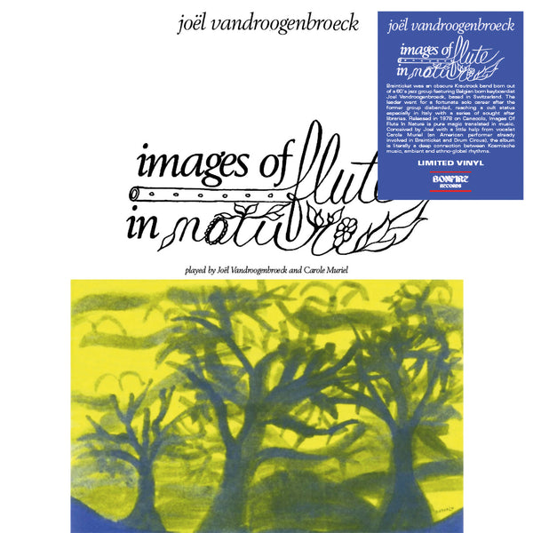 Joël Vandroogenbroeck - Images Of Flute In Nature (LP)