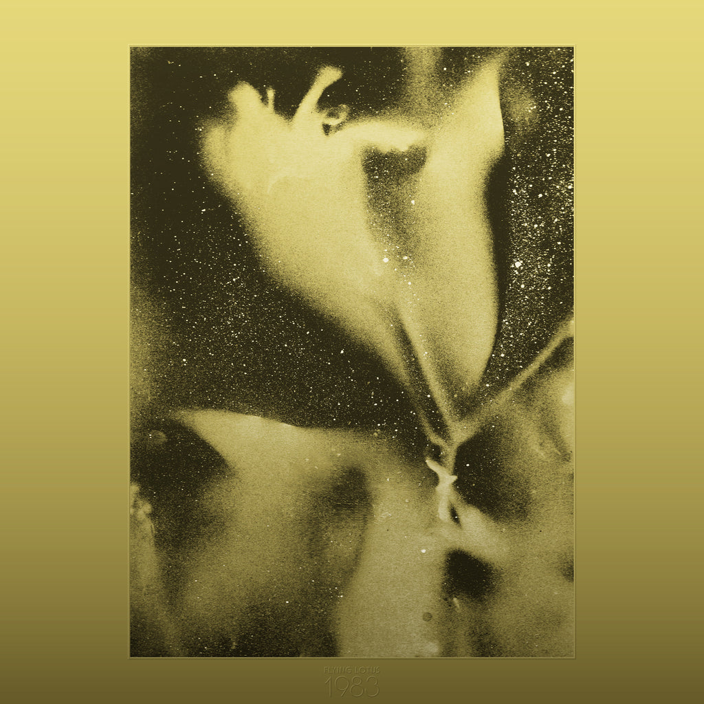 Flying Lotus 1983 アナログレコード Flying Lotus - 1983 (Gold Splatter Vinyl LP) – Meditations
