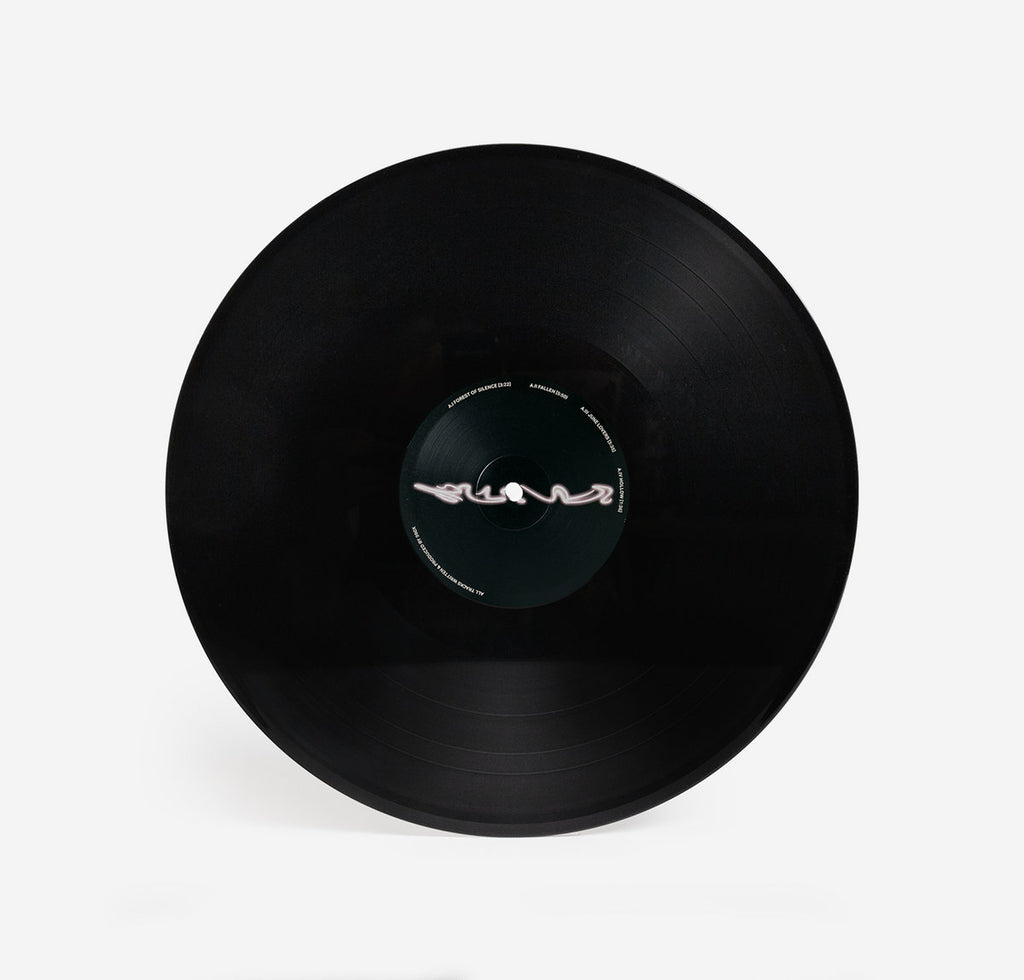 990x - Ruins (LP) – Meditations