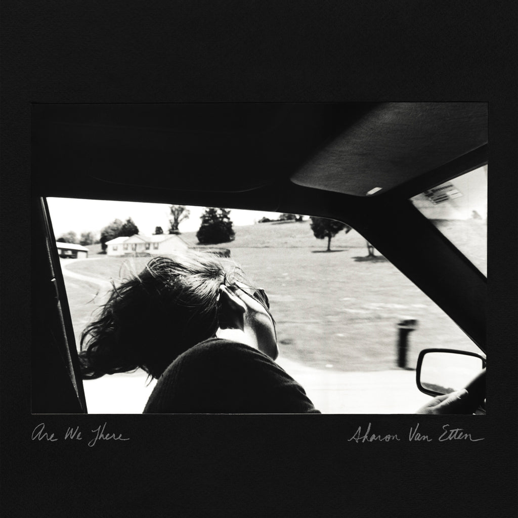 Shearwater And Sharon Van Etten レコード Sharon Van Etten - Are We There (Black Grey & Silver LP) – Meditations