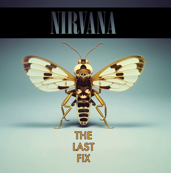 Nirvana - The Last Fix (2LP) – Meditations