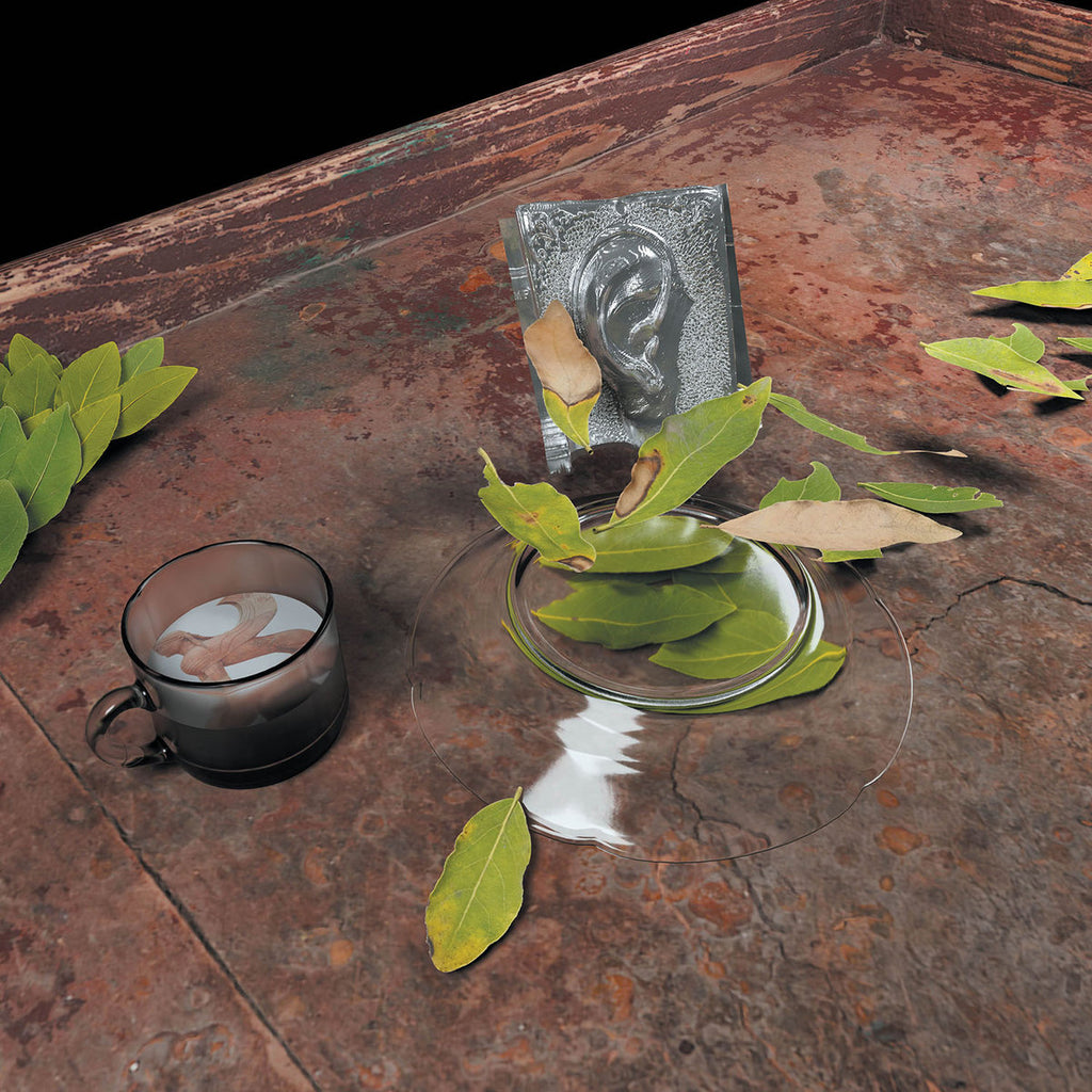 RECOMMENDED – Meditations