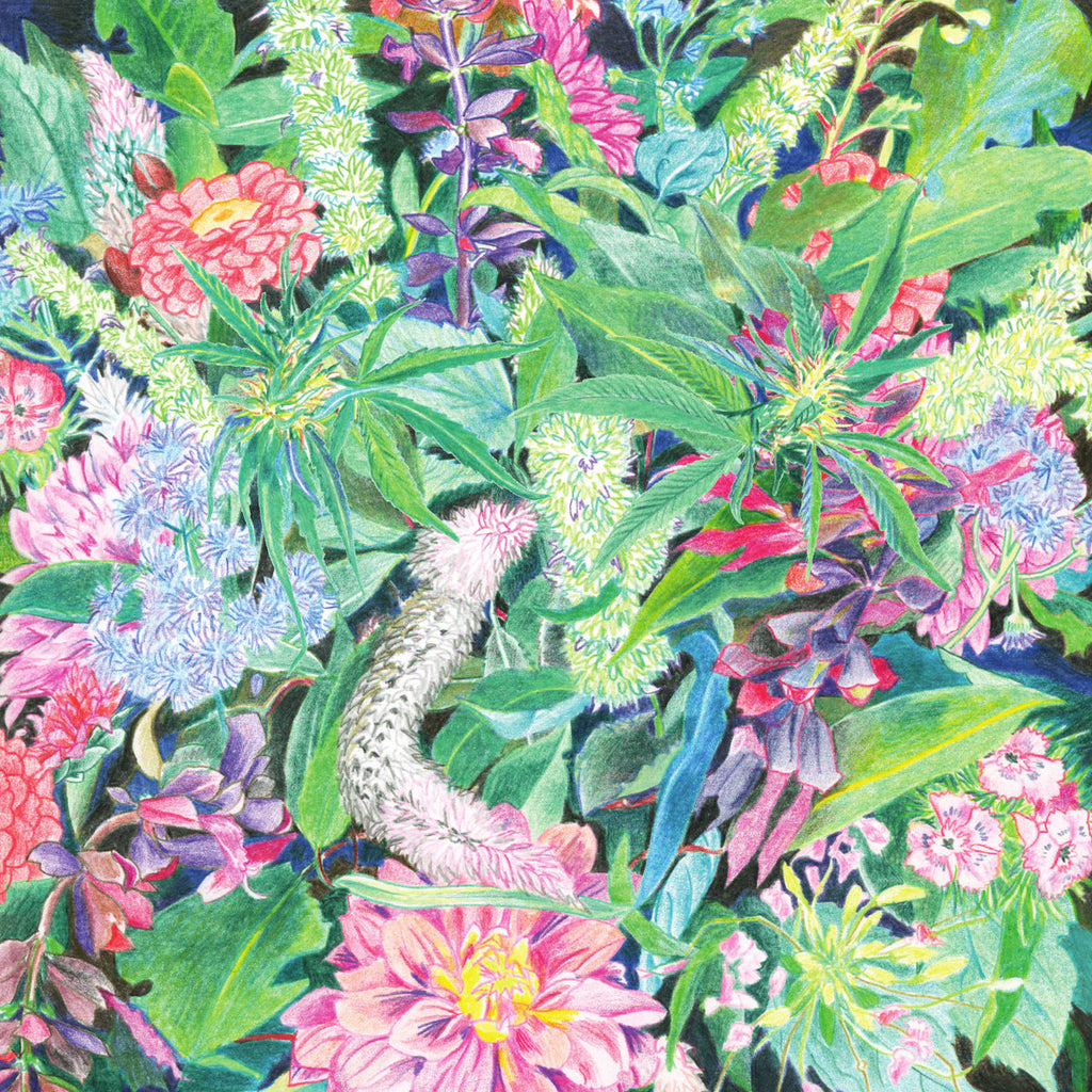 Light-Space Modulator - The Rising Wave (LP) – Meditations