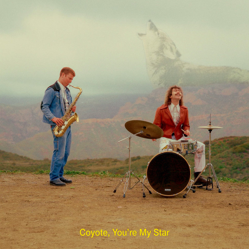 Dana and Alden - Coyote, You're My Star (Chocobanano Vinyl LP