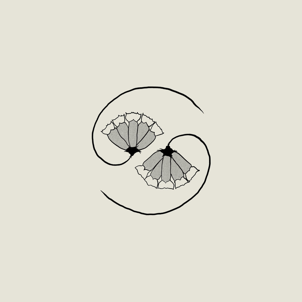 godspeed you black emperor!: 国内版CD GODSPEED YOU BLACK EMPEROR! (ゴッドスピード・ユー・ブラック
