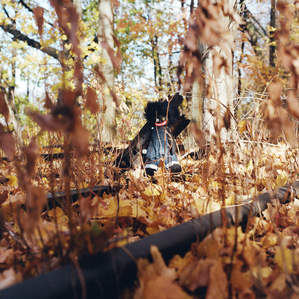 billy woods - GOLLIWOG (2LP) – Meditations