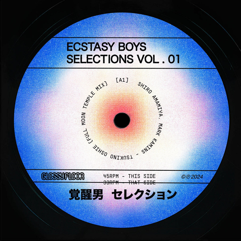 Ecstasy Boys - Selections Vol. 1 (12