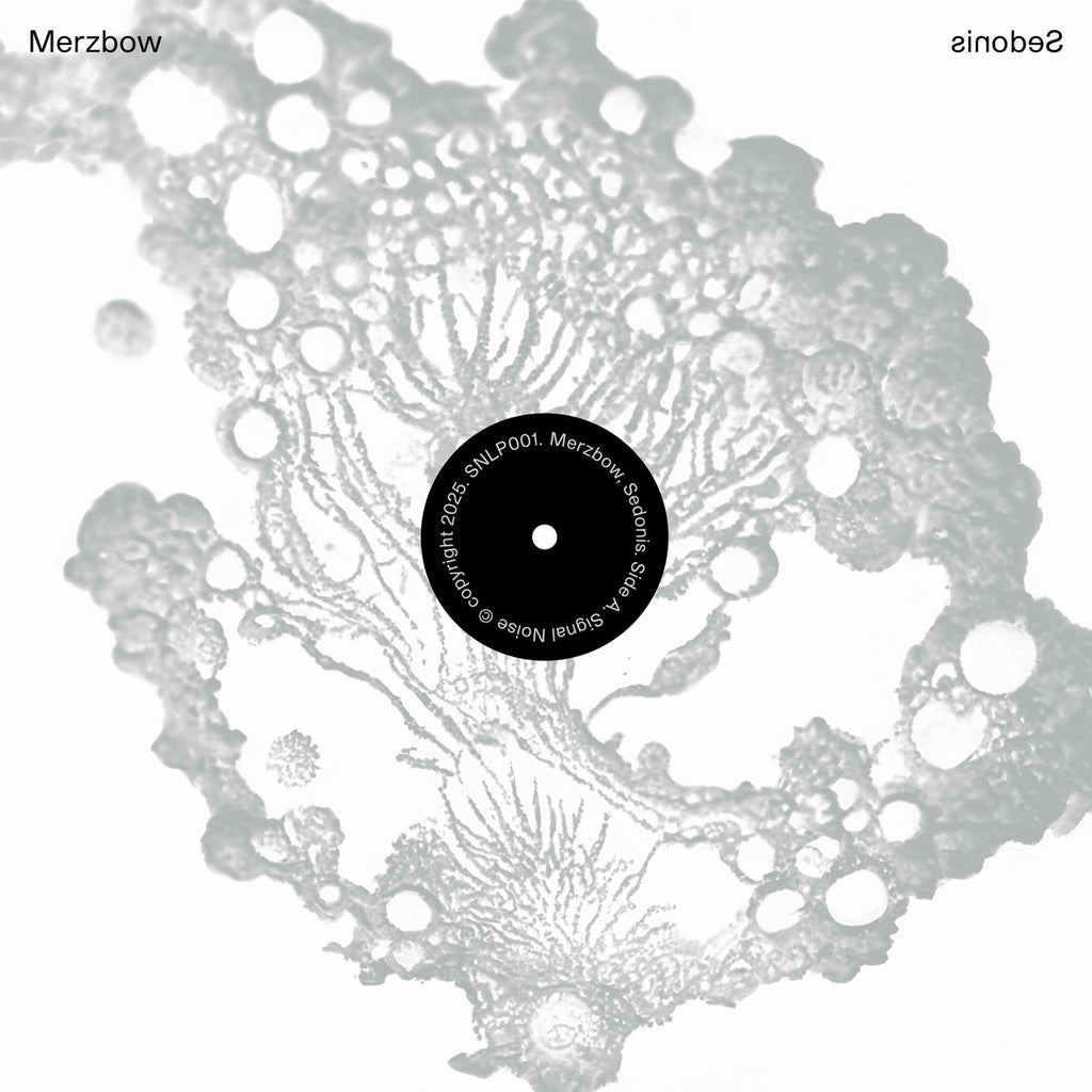 a3829845293_10_1024x.jpg?v=