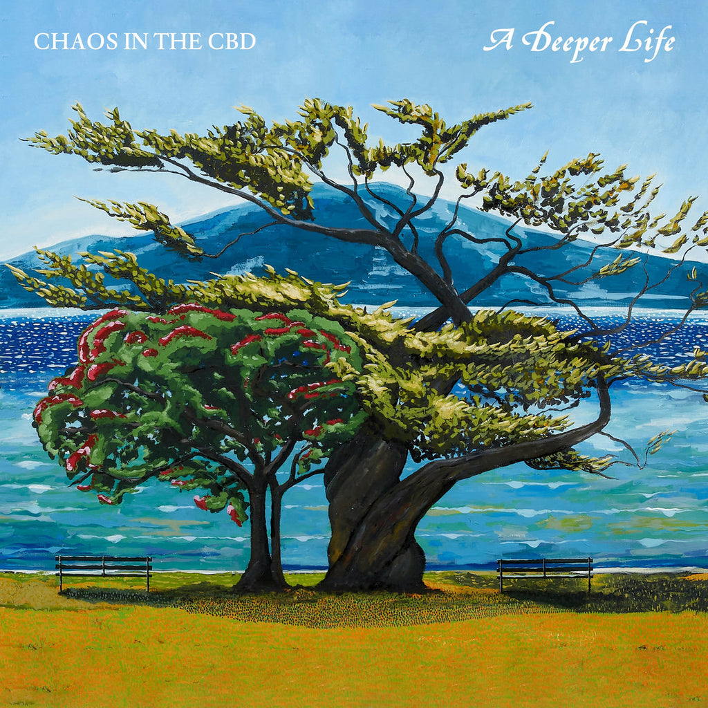 Chaos In The CBD - A Deeper Life (2LP) – Meditations