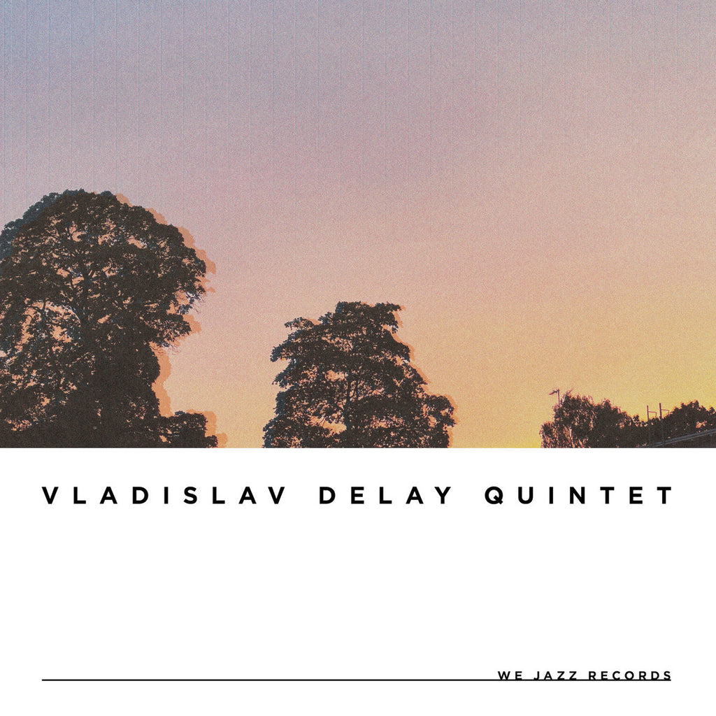 Vladislav Delay Quintet - vd5 (LP) – Meditations