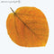 Pete Jolly - Seasons (Clear Amber LP)