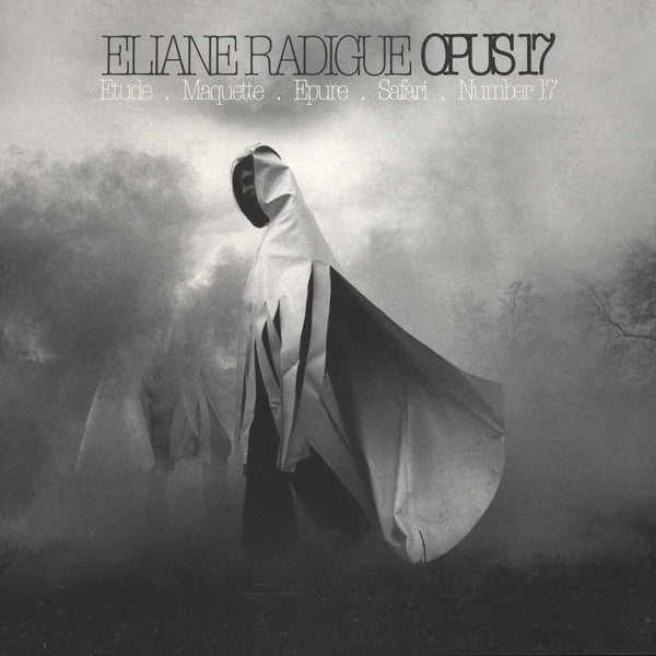 Eliane Radigue - Opus 17 (2LP) – Meditations
