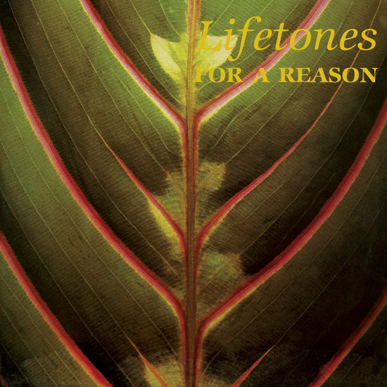 Lifetones - For A Reason (LP) – Meditations