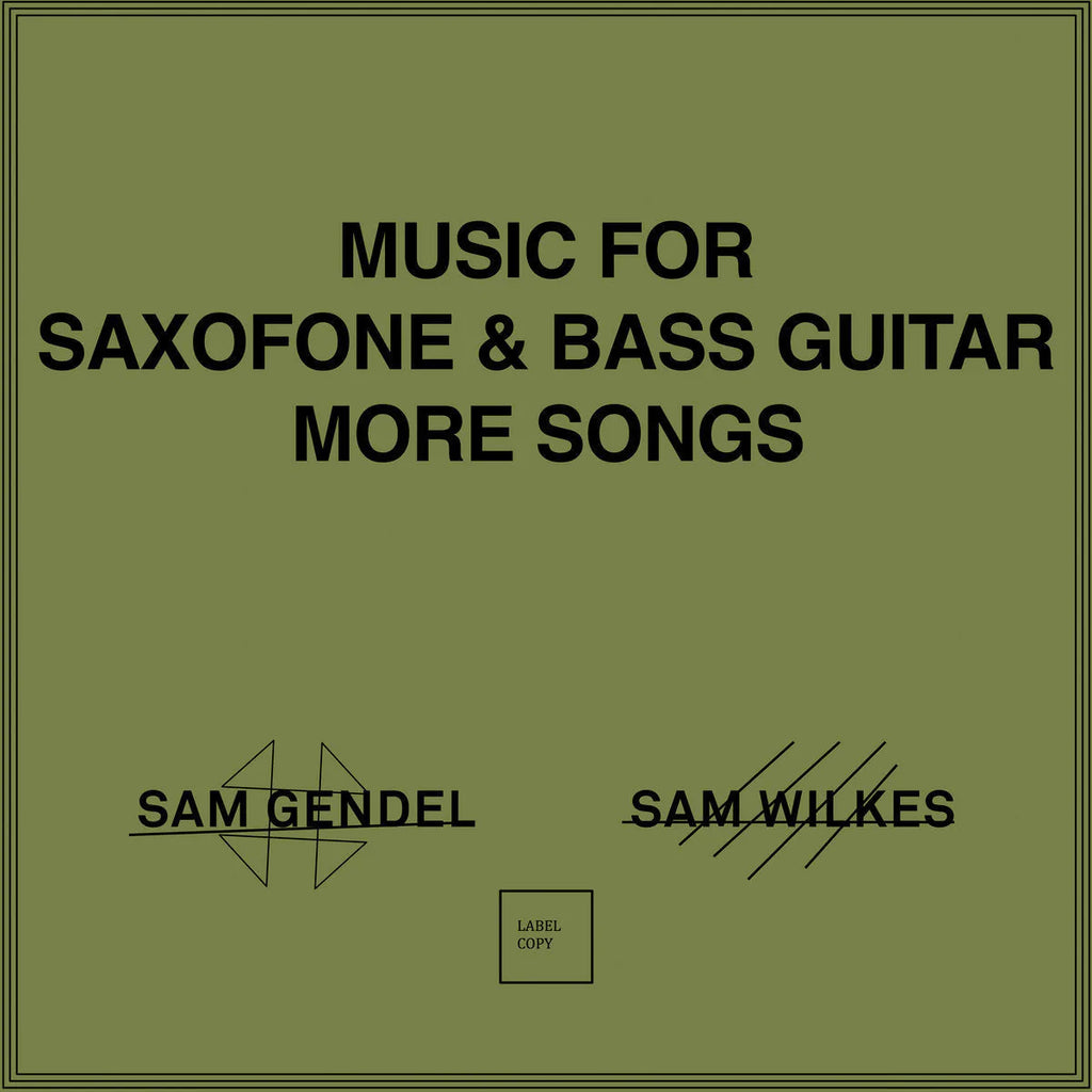 Sam Gendel Sam Wilkes Music For アナログ盤新品 - 洋楽