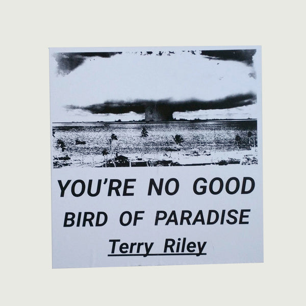 Terry Riley poster B1 フレーム付 送料込み Terry Riley poster B1 フレーム付 送料込み Terry Riley poster B1