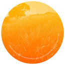 Pub - Summer (Transparent Blue 12")