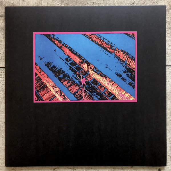 Vogelscheiß Und Seine Verrückten Kröten (John Hubbard, Christoph Heemann, Andreas Martin) (LP+DL)