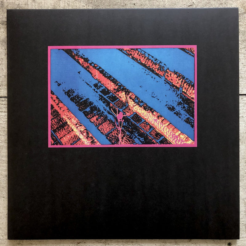 Vogelscheiß Und Seine Verrückten Kröten (John Hubbard, Christoph Heemann, Andreas Martin) (LP+DL)