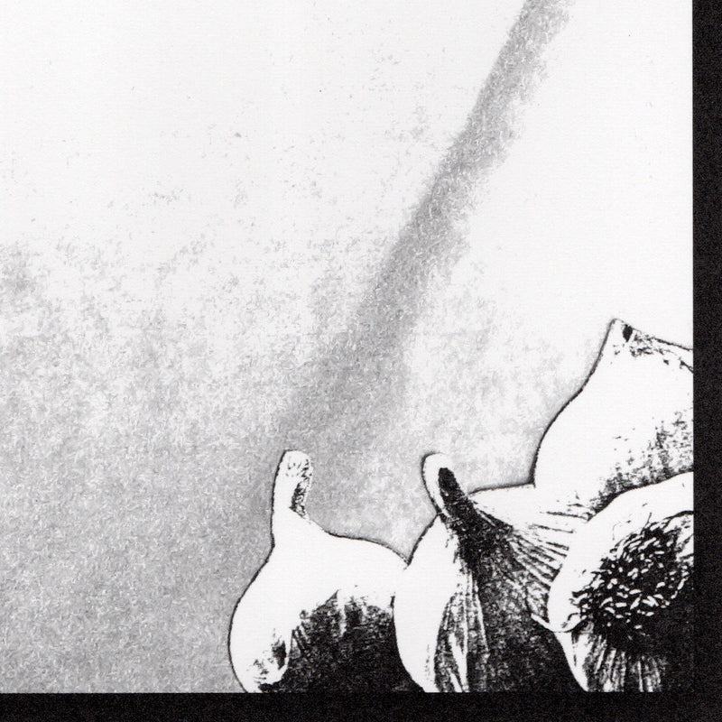 Vogelscheiß Und Seine Verrückten Kröten (John Hubbard, Christoph Heemann, Andreas Martin) (LP+DL)