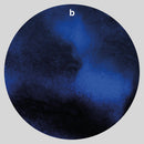 Vogelscheiß Und Seine Verrückten Kröten (John Hubbard, Christoph Heemann, Andreas Martin) (LP+DL)