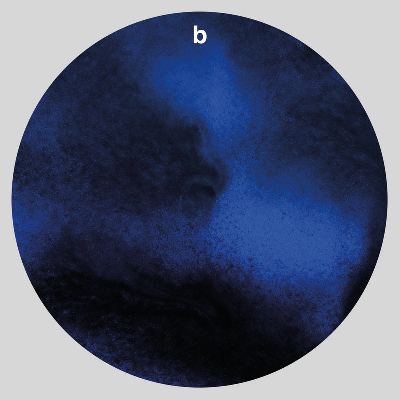 Vogelscheiß Und Seine Verrückten Kröten (John Hubbard, Christoph Heemann, Andreas Martin) (LP+DL)