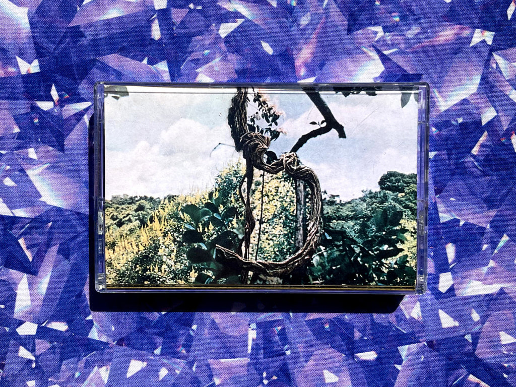Celer + Forest Management - Landmarks (Remastered) (CS+DL) – Meditations