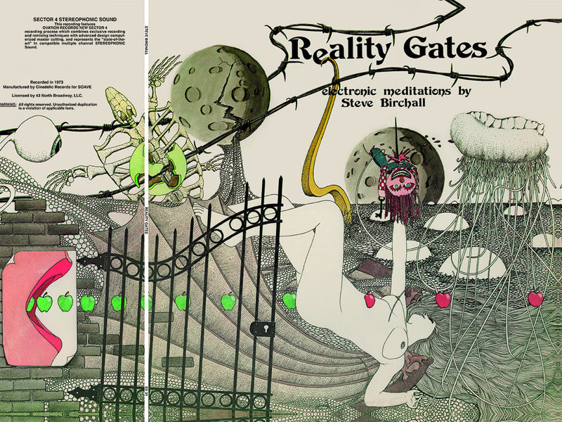 Steve Birchall - Reality Gates (LP)