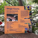 Diego Gaeta - Fearlessly Accessing The Divine Spirit Of Freedom From Here On Out (LP)