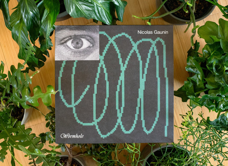 Nicolas Gaunin - Wormhole (LP+DL)