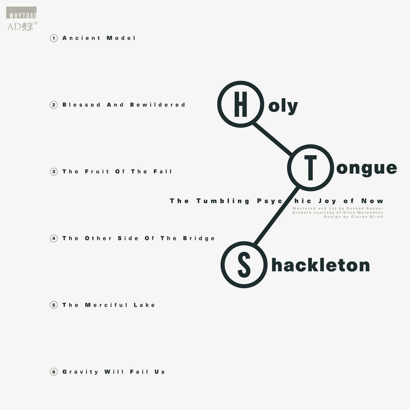 Holy Tongue meets Shackleton - The Tumbling Psychic Joy of Now (LP)