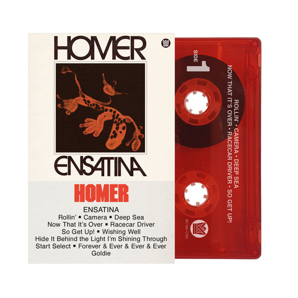 Homer - Ensatina (CS)