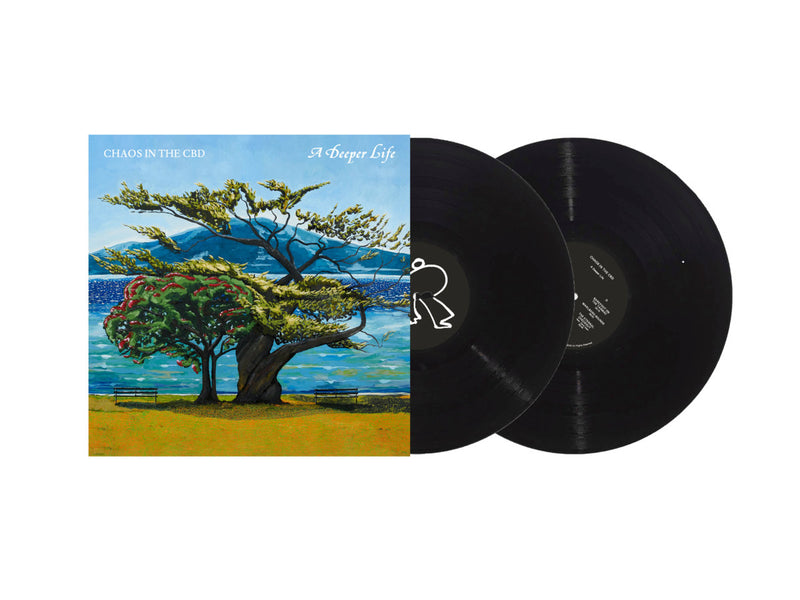 Chaos In The CBD - A Deeper Life (2LP) – Meditations
