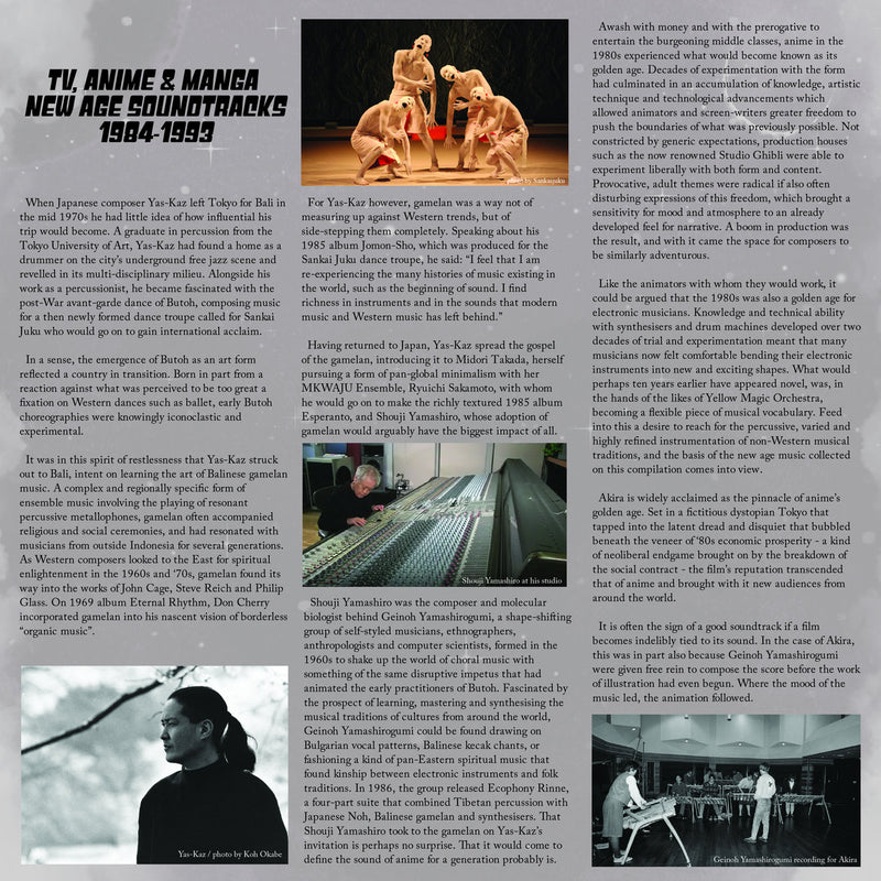 V.A. - TV, Anime & Manga New Age Soundtracks 1984-1993 (LP)