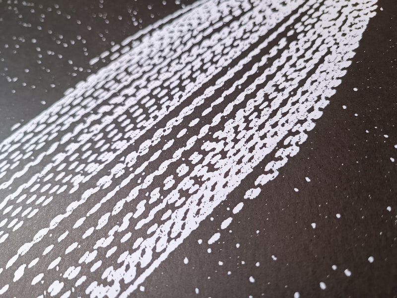 Walter Maioli, John Zandijk - Star Rover (2LP)