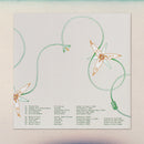 V.A. -  Lost Coast: Some Visionary Music from California, 1980–1992 (LP)