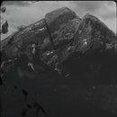 Olan Monk - Songs for Nothing (LP)